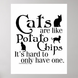 Katt är som potatis chip.. poster