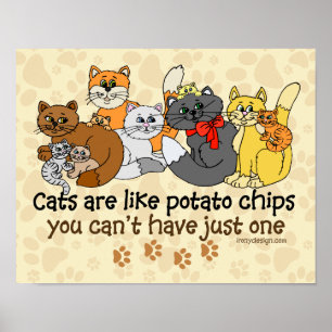 Katt är som potatis chip poster