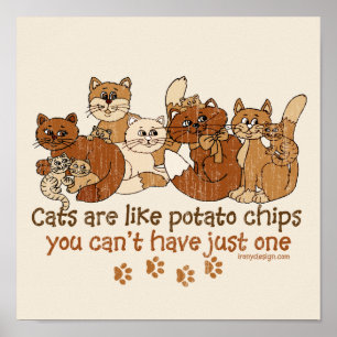 Katt är som potatis chip poster
