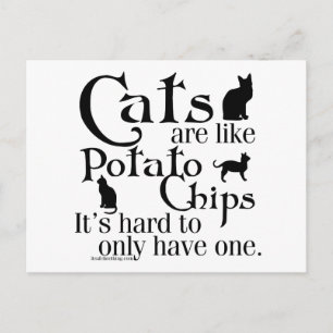 Katt är som potatis chip.. vykort