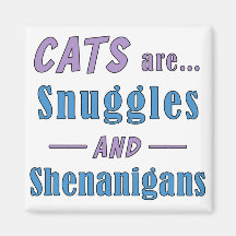 Katt är ungel och shenanigans