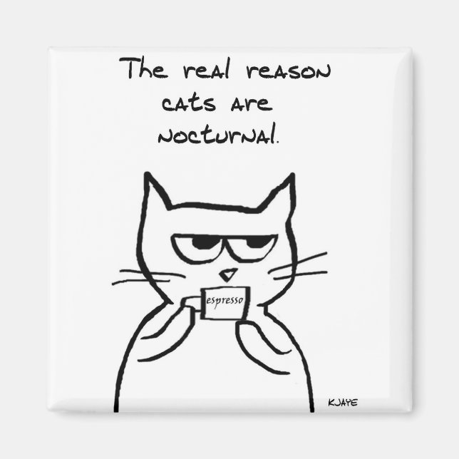 Katt är uppe hela natten - Lustigt Cat Magnet (Framsidan)