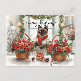 Katt arrangerar vinterblommor för julhelgen helg vykort