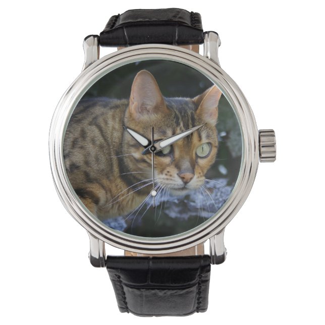 Katt av bengal armbandsur (Framsida)