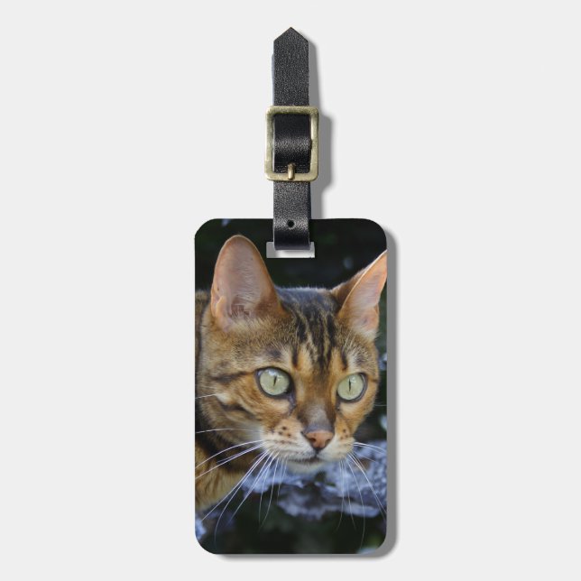 Katt av bengal bagagebricka (Vertikal Framsida)