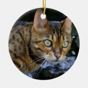 Katt av bengal julgransprydnad keramik