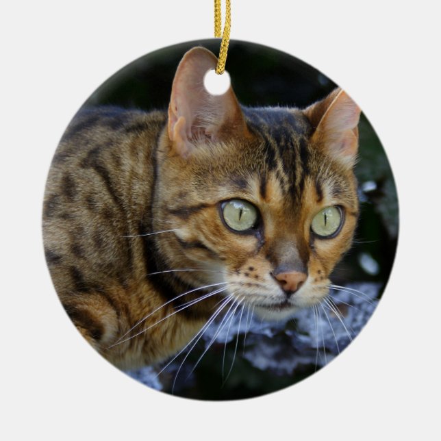 Katt av bengal julgransprydnad keramik (Framsidan)