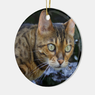 Katt av bengal julgransprydnad keramik