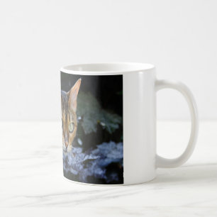 Katt av bengal kaffemugg