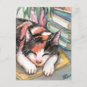 Katt av Bokar Vykort