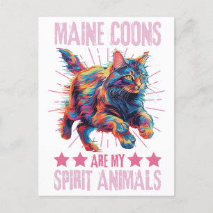 Katt av färglöst maine Coon Cat Vykort