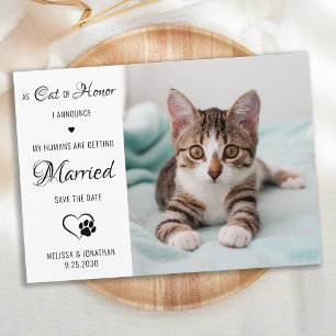 Katt av honor Personlig Pet Photo Cat Bröllop Spara Datumet