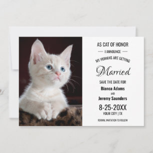Katt av Honor Pet Photo Bröllop spara datum Datumet