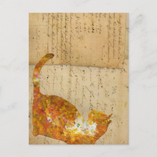 Katt av många Ord Vykort (Framsida)