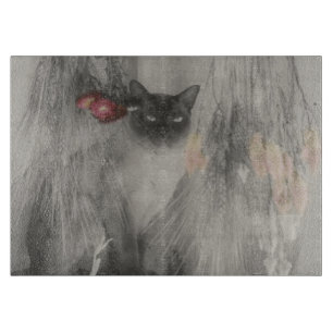 Katt av siamesisk art i svartvitt