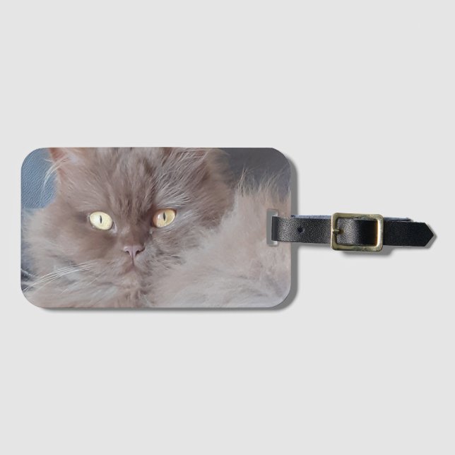 Katt Bagagebricka (Framsida horisontal)