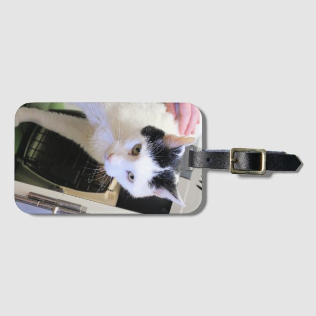 Katt   bagagebricka (Framsida horisontal)