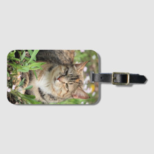 Katt Bagagebricka
