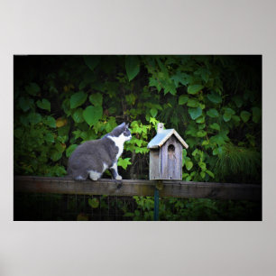 Katt & Birdhouse Poster