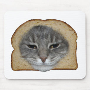 Katt Breader Musmatta