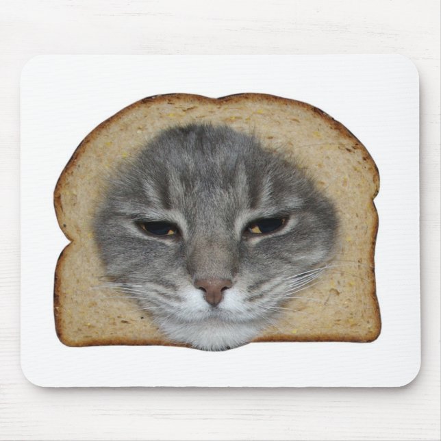 Katt Breader Musmatta (Framsidan)