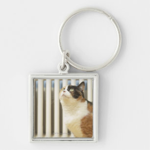 Katt bredvid element fyrkantig silverfärgad nyckelring