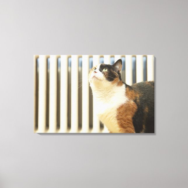 Katt bredvid kylare canvastryck (Framsida)