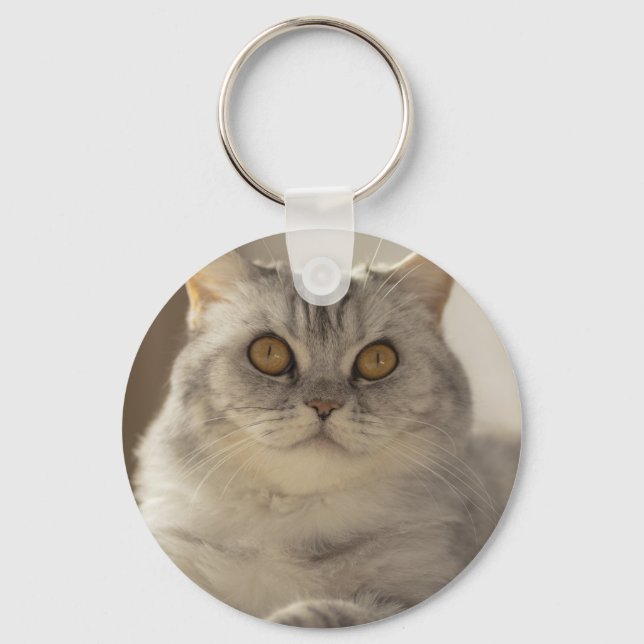 Katt, brittiskt kort-hår, Kattdjur Nyckelring (Framsida)