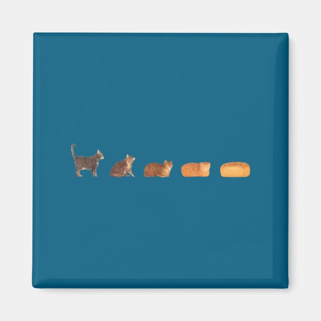 Katt bröd limpa evolution rolig katt mamma söt kat magnet (Framsidan)