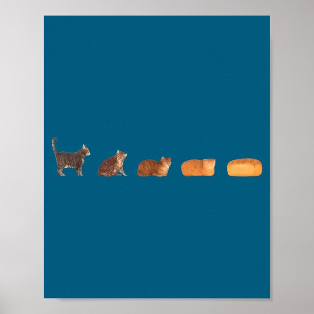 Katt bröd limpa evolution rolig katt mamma söt kat poster (Framsidan)