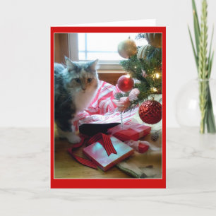 Katt bucklade vid Julklapp tidigt Helgkort