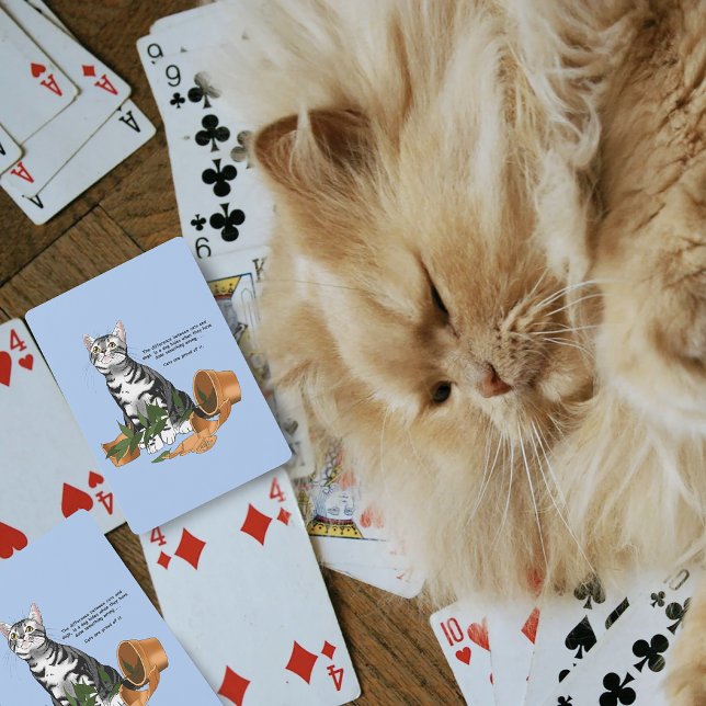 Katt busar casinokort (Skapare uppladdad)