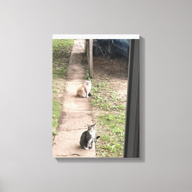 Katt Canvastryck (Framsida)