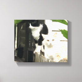 Katt Canvastryck