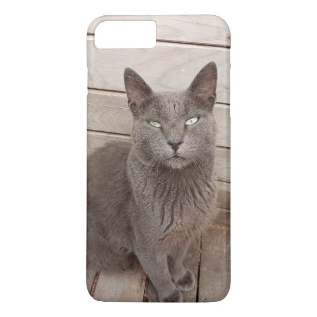 Katt Case-Mate iPhone Skal (Baksida)