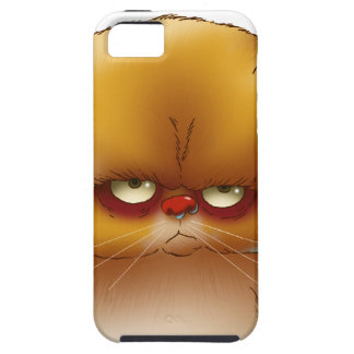 katt iPhone 5 skal