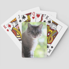 Katt Casinokort