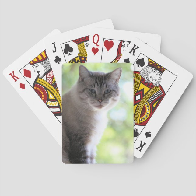 Katt Casinokort (Baksidan)