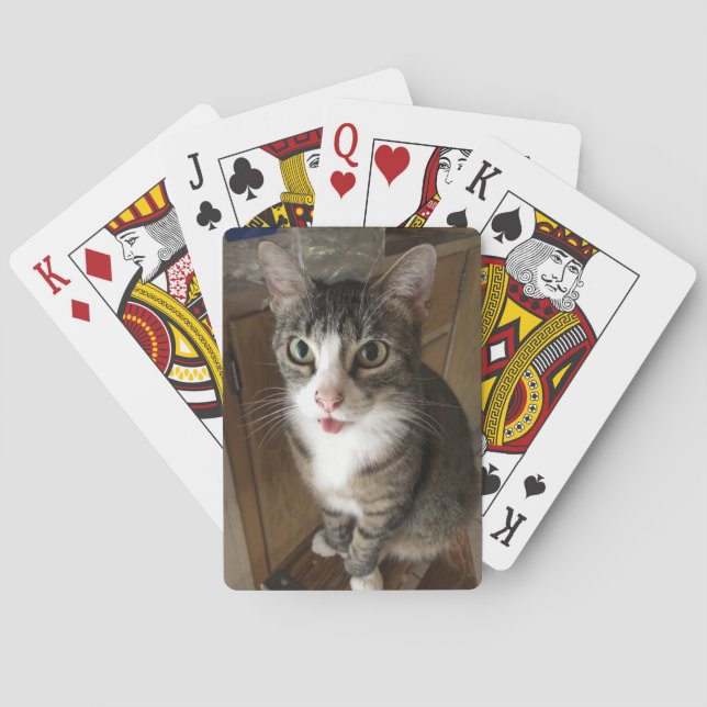 Katt Casinokort (Baksidan)
