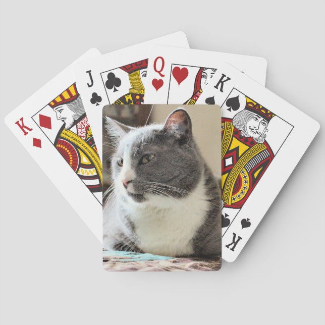 Katt Casinokort (Baksidan)