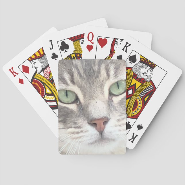 Katt Casinokort (Baksidan)