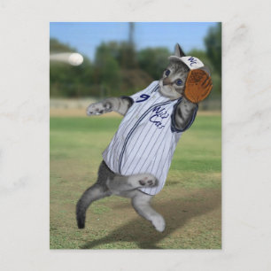 Katt Catcher i Outfield! Vykort