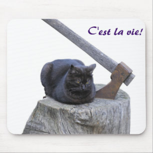 katt, C'est la vie! Musmatta