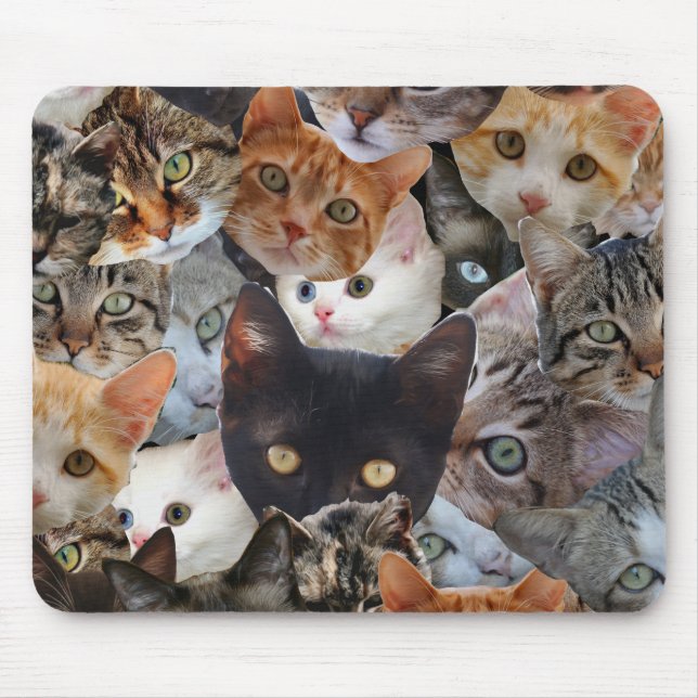 Katt Collage Musmatta (Framsidan)