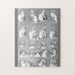 Katt, Courship & Giftermål, Bride, Louis Wain Pussel