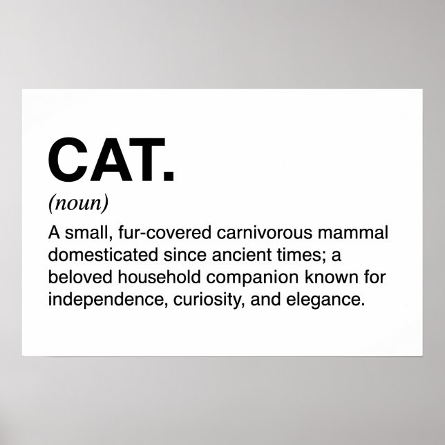 Katt Definition Substantiv Rolig Kattälskare Poster (Framsidan)