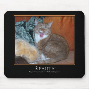 Katt Demotivator Musmatta
