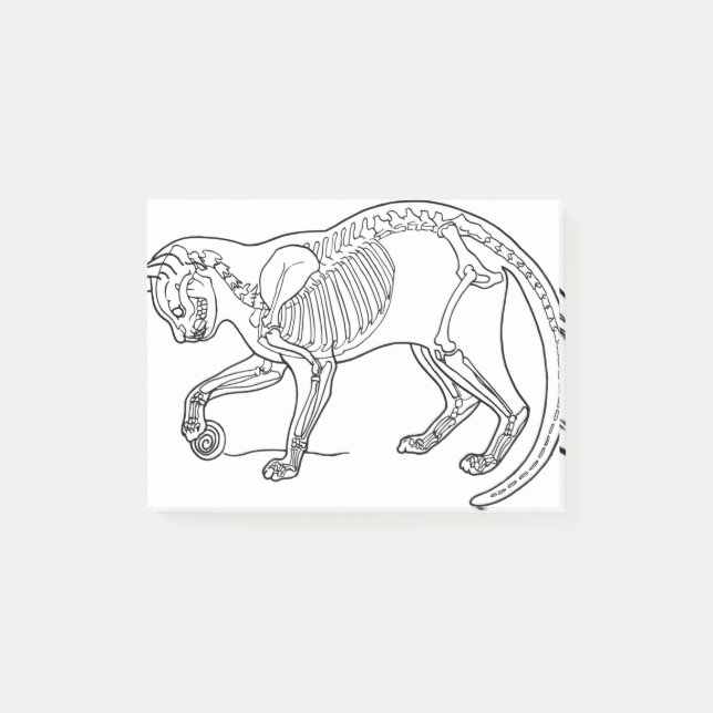Katt Djurbenen Skeleton Line Art Biology Post-it Block (Framsida)