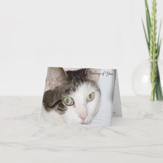 Katt - du tänker på dig kort