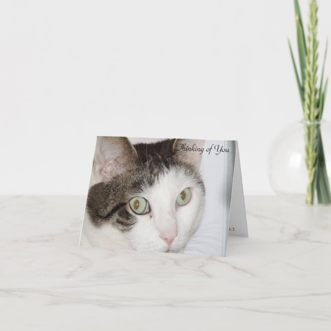 Katt - du tänker på dig kort (Framsida)